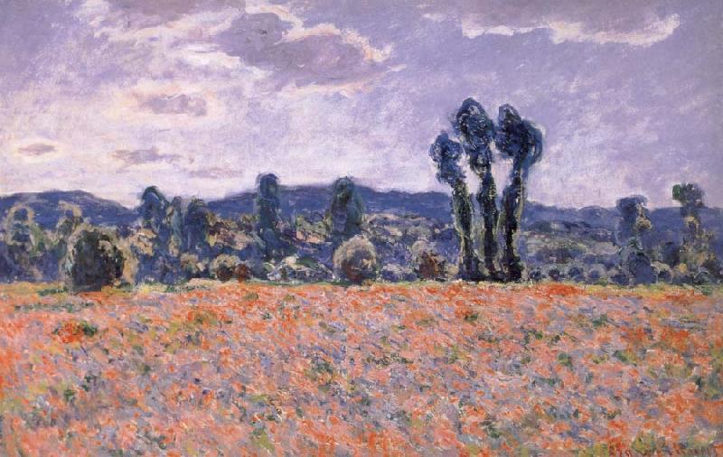 Claude Monet Poppy Field in Bloom oil painting image